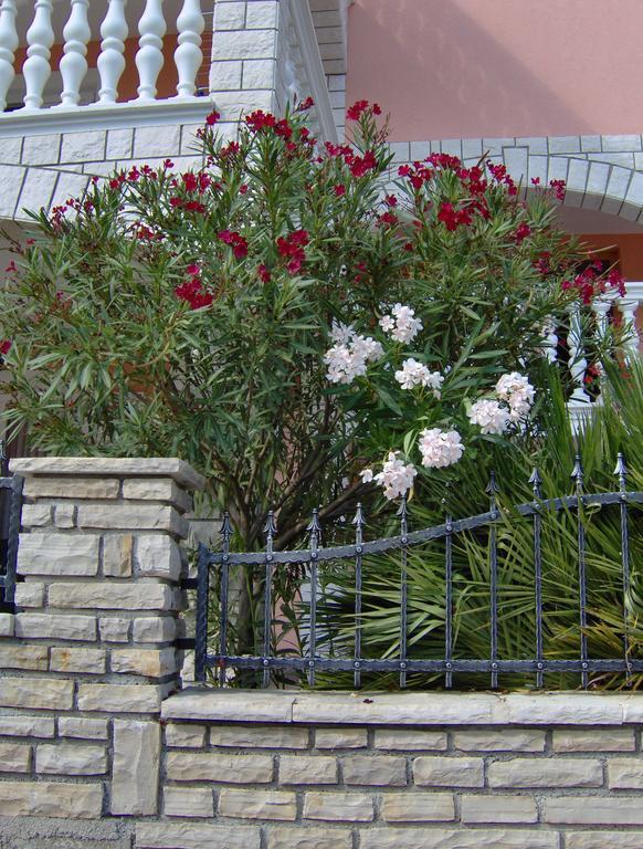 וודיצה Apartments Tonimir מראה חיצוני תמונה